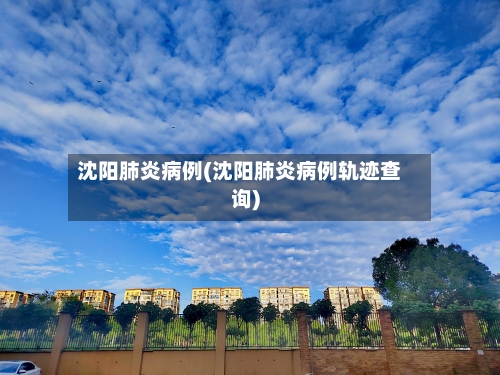 沈阳肺炎病例(沈阳肺炎病例轨迹查询)