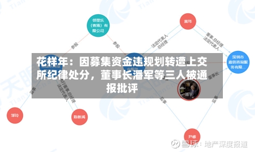 花样年：因募集资金违规划转遭上交所纪律处分，董事长潘军等三人被通报批评-第3张图片