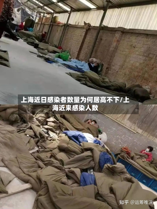 上海近日感染者数量为何居高不下/上海近来感染人数-第3张图片
