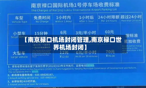 【南京禄口机场封闭管理,南京禄口世界机场封闭】