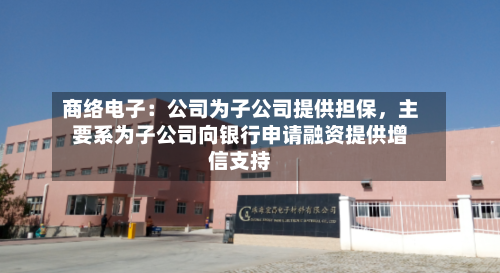 商络电子：公司为子公司提供担保	，主要系为子公司向银行申请融资提供增信支持-第1张图片