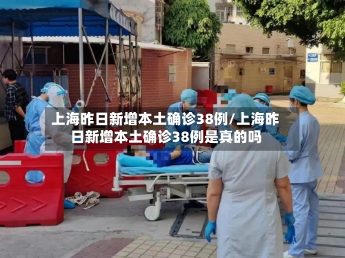 上海昨日新增本土确诊38例/上海昨日新增本土确诊38例是真的吗