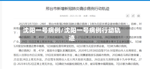 沈阳一号病例/沈阳一号病例行动轨迹-第3张图片