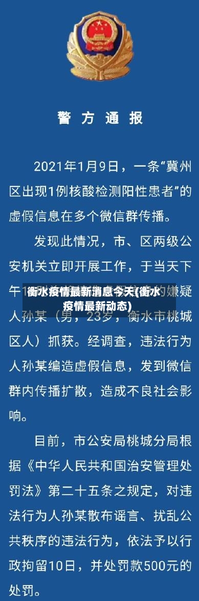 衡水疫情最新消息今天(衡水疫情最新动态)-第3张图片