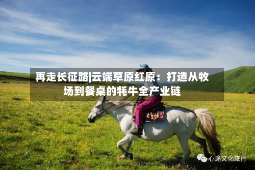 再走长征路|云端草原红原：打造从牧场到餐桌的牦牛全产业链-第2张图片