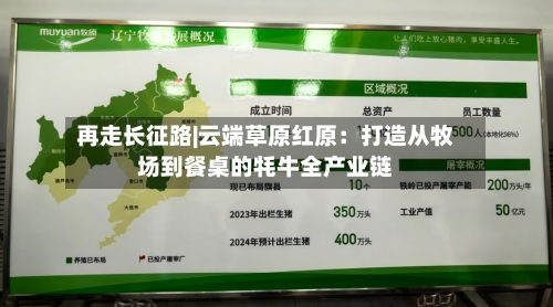 再走长征路|云端草原红原：打造从牧场到餐桌的牦牛全产业链