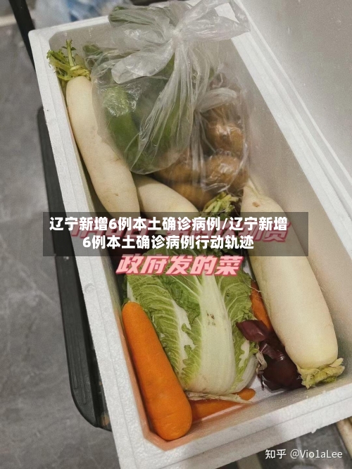辽宁新增6例本土确诊病例/辽宁新增6例本土确诊病例行动轨迹-第2张图片