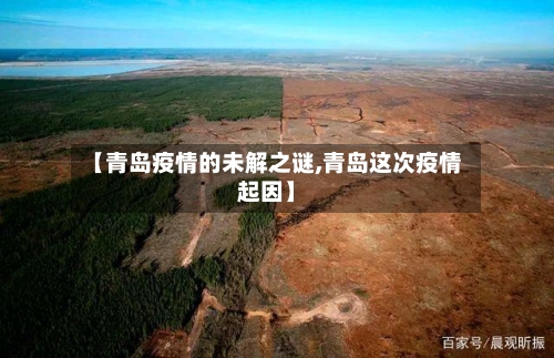 【青岛疫情的未解之谜,青岛这次疫情起因】