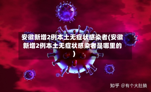 安徽新增2例本土无症状感染者(安徽新增2例本土无症状感染者是哪里的)-第2张图片