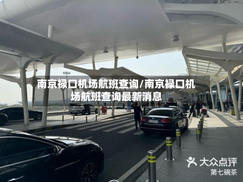 南京禄口机场航班查询/南京禄口机场航班查询最新消息