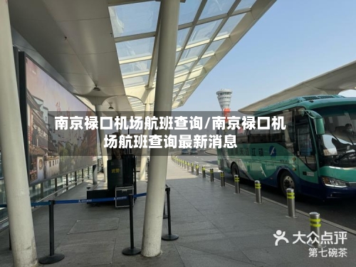 南京禄口机场航班查询/南京禄口机场航班查询最新消息-第3张图片