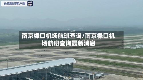 南京禄口机场航班查询/南京禄口机场航班查询最新消息-第2张图片
