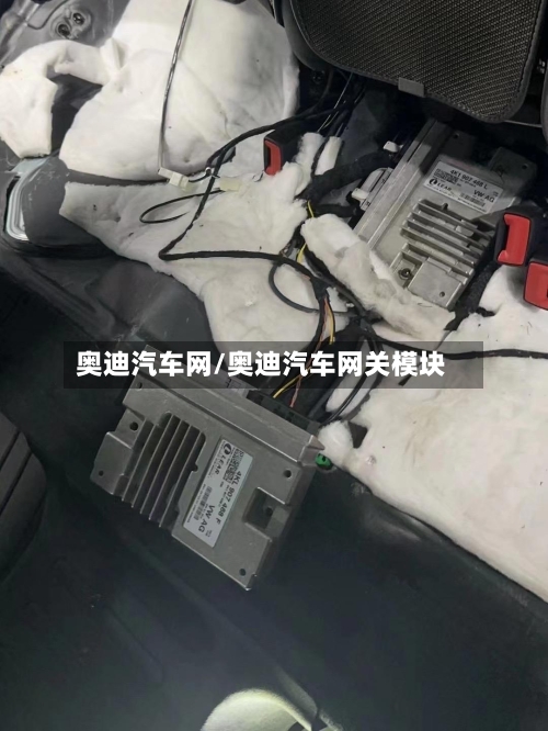 奥迪汽车网/奥迪汽车网关模块-第2张图片