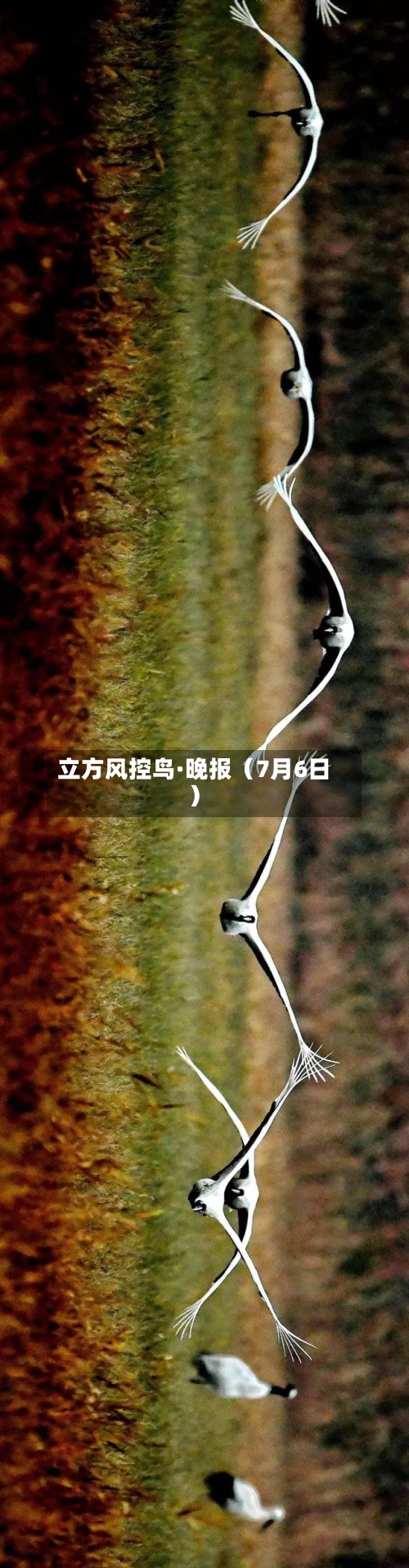 立方风控鸟·晚报(7月6日)-第3张图片