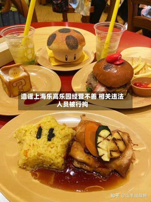 造谣上海乐高乐园经营不善 相关违法人员被行拘-第1张图片
