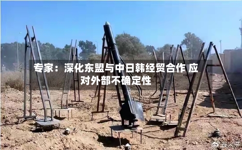 专家：深化东盟与中日韩经贸合作 应对外部不确定性-第3张图片