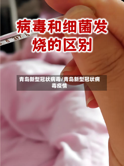 青岛新型冠状病毒/青岛新型冠状病毒疫情-第3张图片