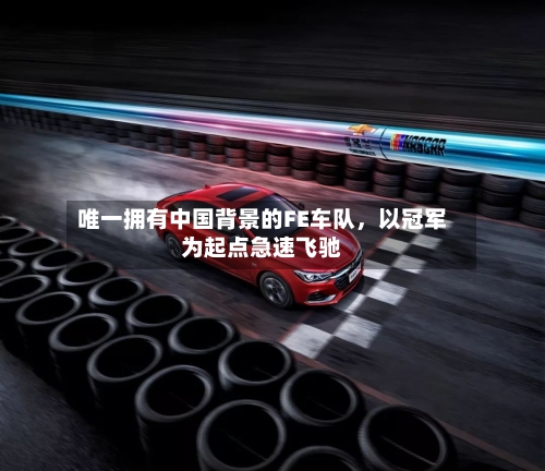 唯一拥有中国背景的FE车队，以冠军为起点急速飞驰-第2张图片