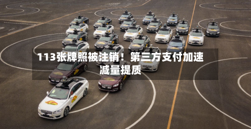 113张牌照被注销！第三方支付加速减量提质-第2张图片