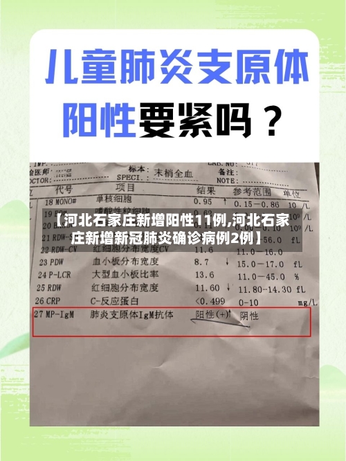 【河北石家庄新增阳性11例,河北石家庄新增新冠肺炎确诊病例2例】-第2张图片