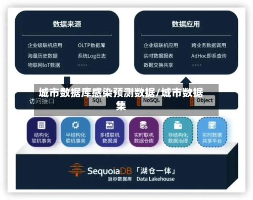 城市数据库感染预测数据/城市数据集