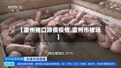 【雷州猪口蹄疫疫情,雷州市猪场】-第2张图片