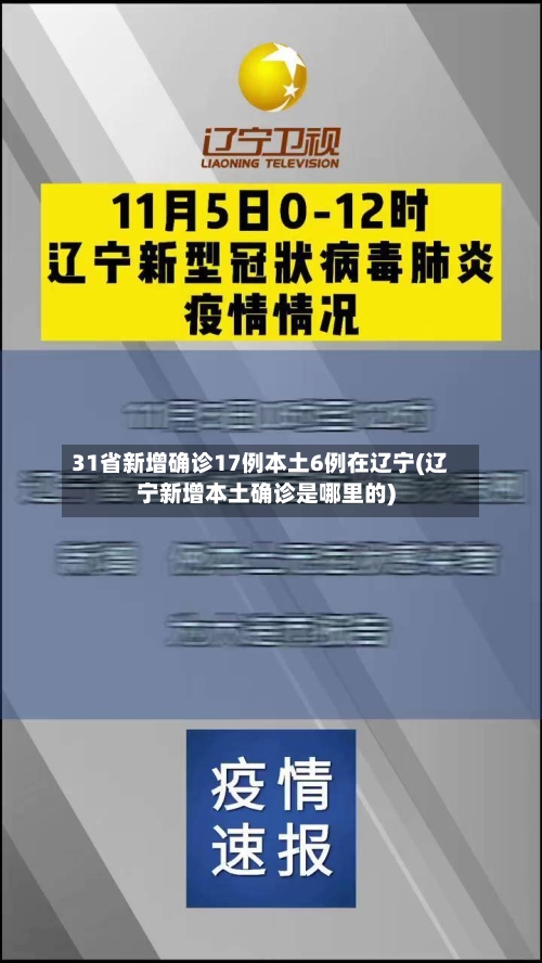 31省新增确诊17例本土6例在辽宁(辽宁新增本土确诊是哪里的)-第3张图片