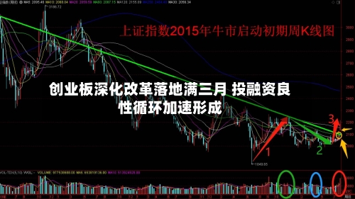创业板深化改革落地满三月 投融资良性循环加速形成