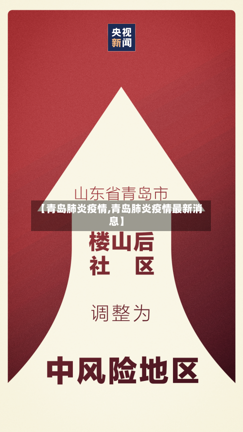 【青岛肺炎疫情,青岛肺炎疫情最新消息】-第2张图片