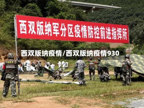 西双版纳疫情/西双版纳疫情930
