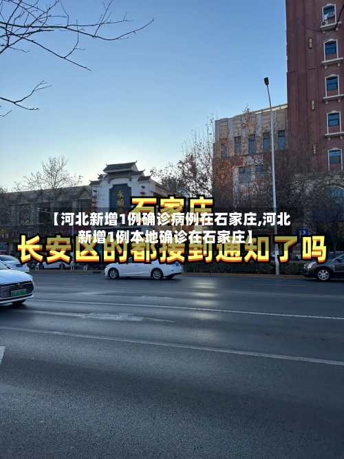 【河北新增1例确诊病例在石家庄,河北新增1例本地确诊在石家庄】-第3张图片
