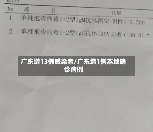 广东增13例感染者/广东增1例本地确诊病例