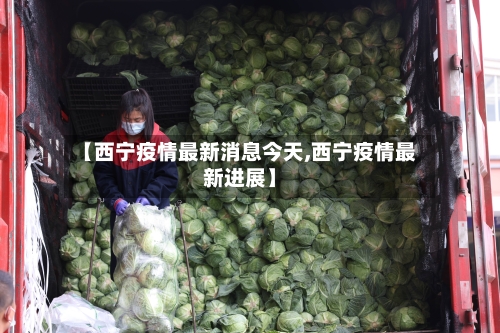 【西宁疫情最新消息今天,西宁疫情最新进展】