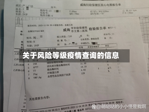 关于风险等级疫情查询的信息-第1张图片