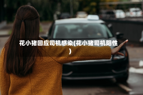 花小猪回应司机感染(花小猪司机阳性)