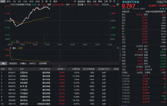 深V反转	，华宝基金农牧渔ETF（159275）盘中暴拉涨超3%！猪周期拐点将至？
