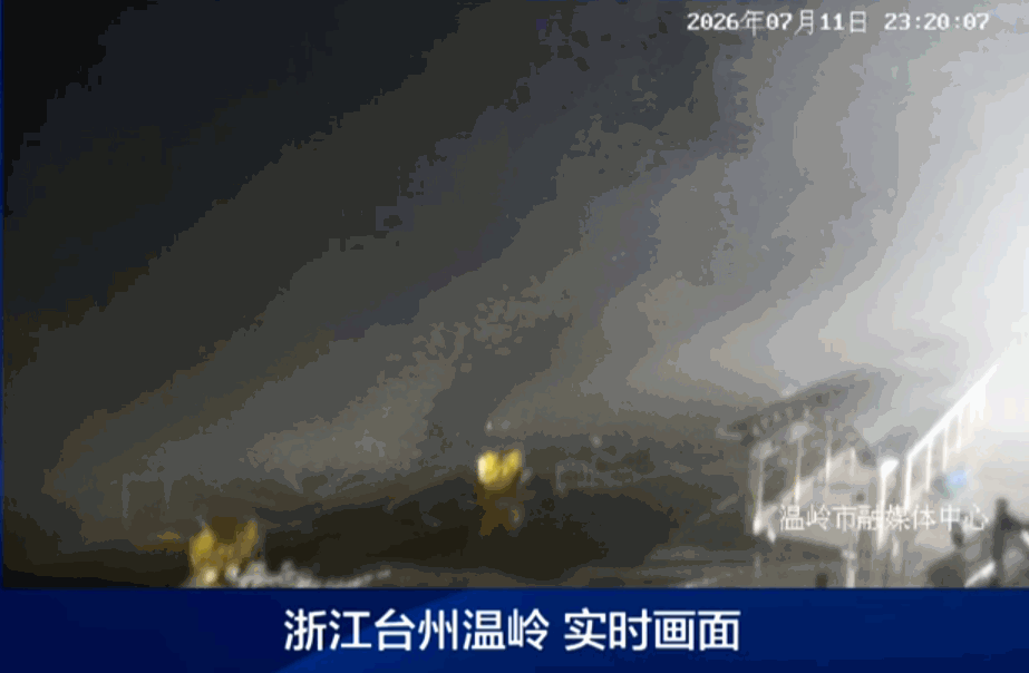 “巴威”最新路径公布！0时在浙江乐清二次登陆，5时减弱为强热带风暴	，中心最大风力11级