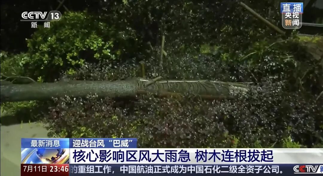 “巴威	”最新路径公布！0时在浙江乐清二次登陆	，5时减弱为强热带风暴，中心最大风力11级